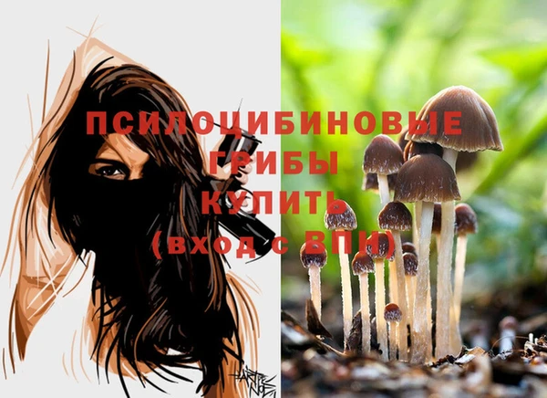 амфетамин Пестово