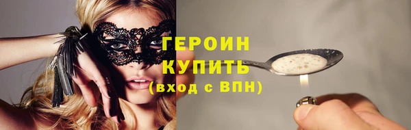 прущие грибы Переславль-Залесский