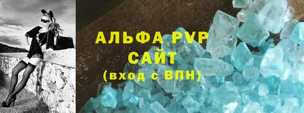 прущие грибы Переславль-Залесский