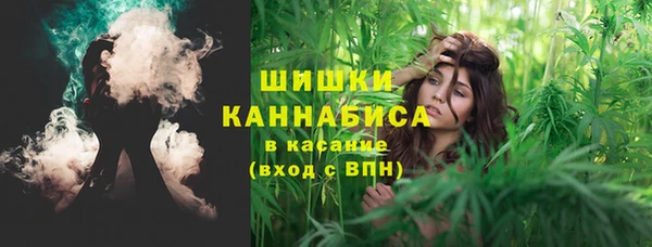 эйфоретик Пересвет